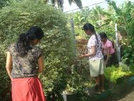 Gartenarbeit beim Chathura-Kinderheim